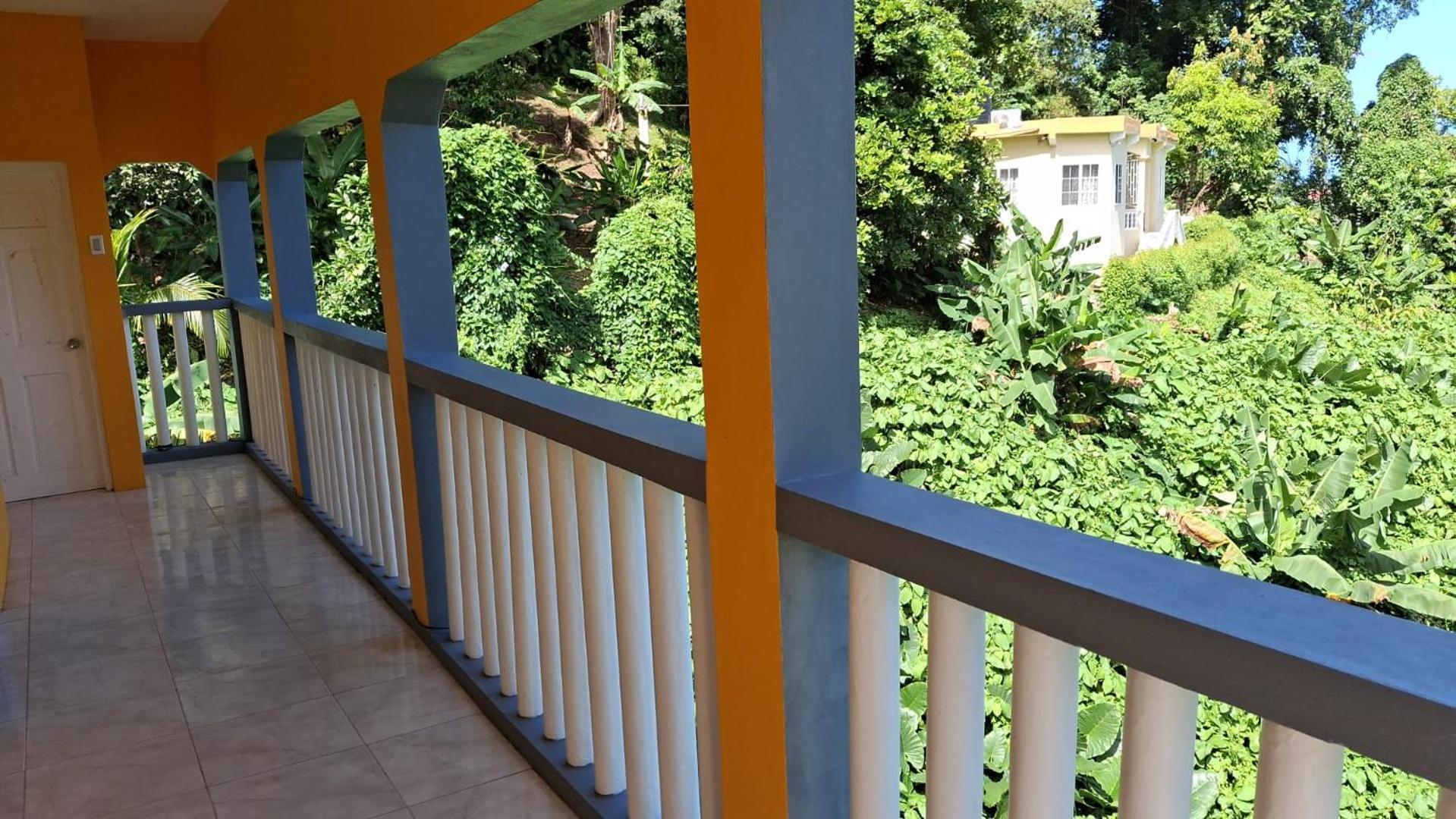 Viva Violas Port Antonio Exterior foto