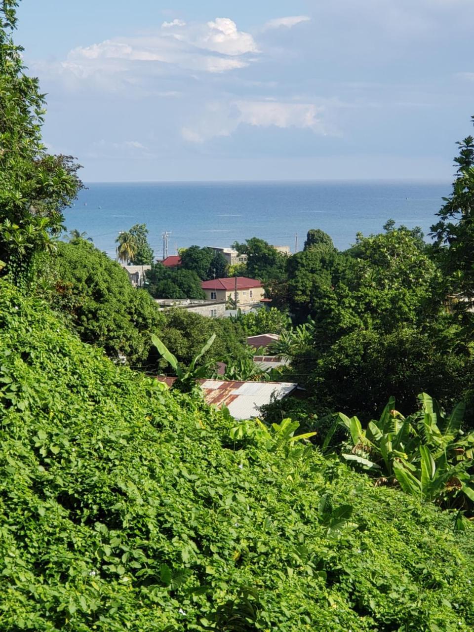Viva Violas Port Antonio Exterior foto